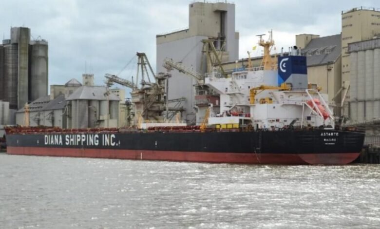 The Diana Shipping Kamsarmax bulk carrier m/v Astarte navigates on the ocean.